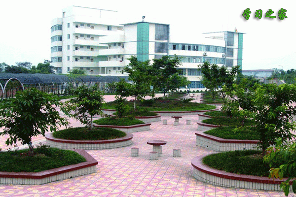 四川幼儿师范高等专科学校办学实力怎么样_在国际上的合作如何