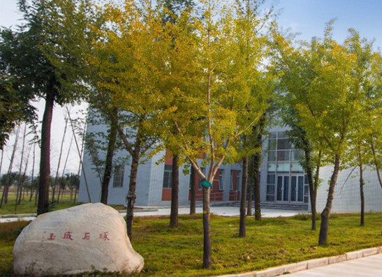 渭南职业技术学院