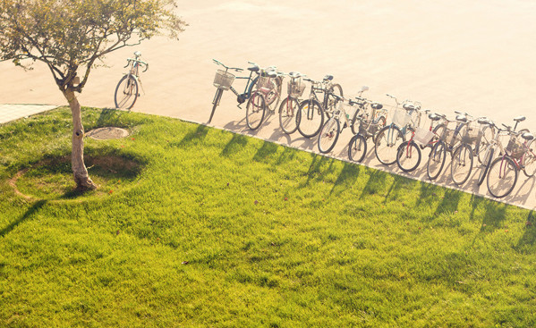 西北农林科技大学