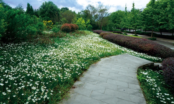 重庆师范大学