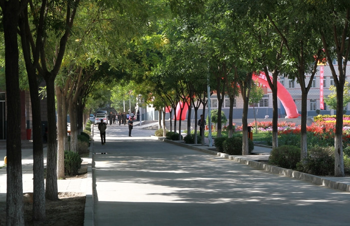 威职业学院医学系