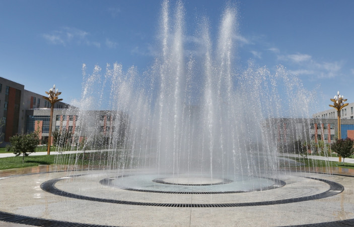 威职业学院医学系