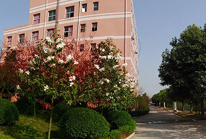 2019年成都职业学校3+2年制招生要求