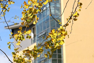 2019四川职业技术学校哪里好?