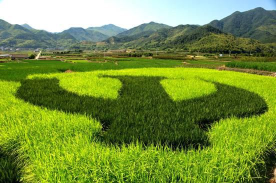 种子生产与经营专业 种子生产与经营专业