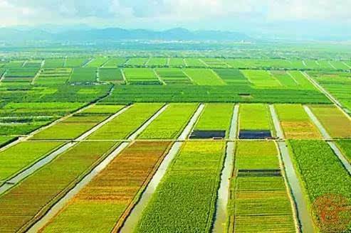 作物生产技术专业 作物生产技术专业