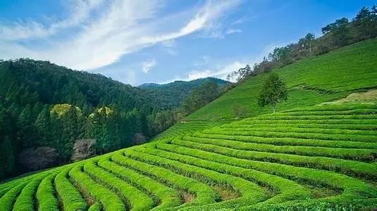 作物生产技术专业 作物生产技术专业