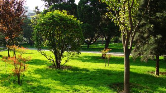 成都广播电视大学 成都广播电视大学