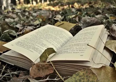 电子信息科学与技术专业就业方向_招生信息