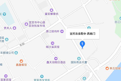 宜宾食品工业计算机职业中学地址在哪里