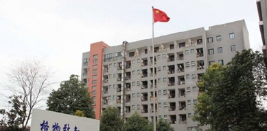 成都金沙职业技术学校就业渠道_可以转学吗？