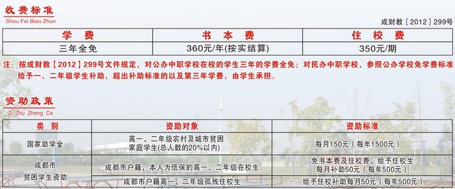 成都市技师学院2020邛崃分院五年制计算机专业招生_招生信息