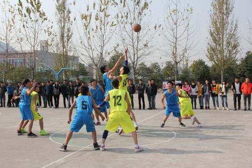 职业高级学校 职业高级学校