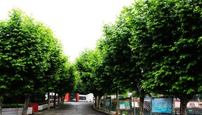 贵州航天职业技术学院汽车技术服务与营销专业招生_招生信息