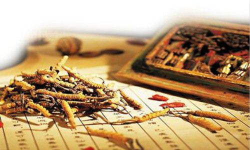 中药鉴定与质量检测技术专业 中药鉴定与质量检测技术专业