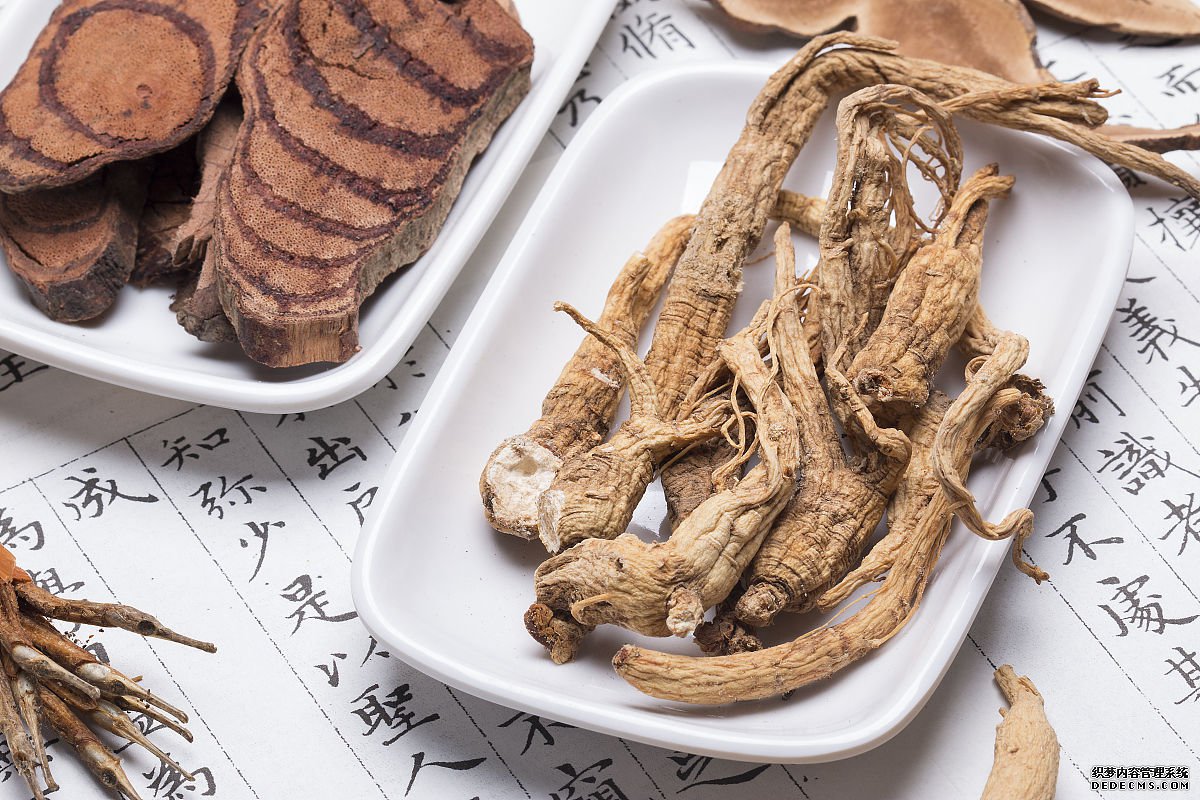 中药鉴定与质量检测技术专业 中药鉴定与质量检测技术专业