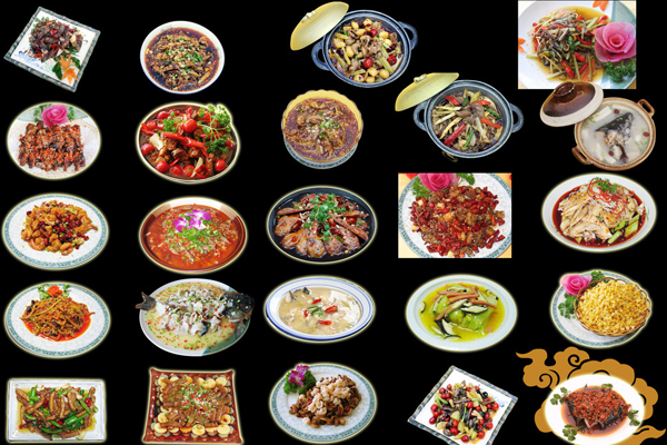 成都烹饪学校2020年招生专业有哪些_招生信息