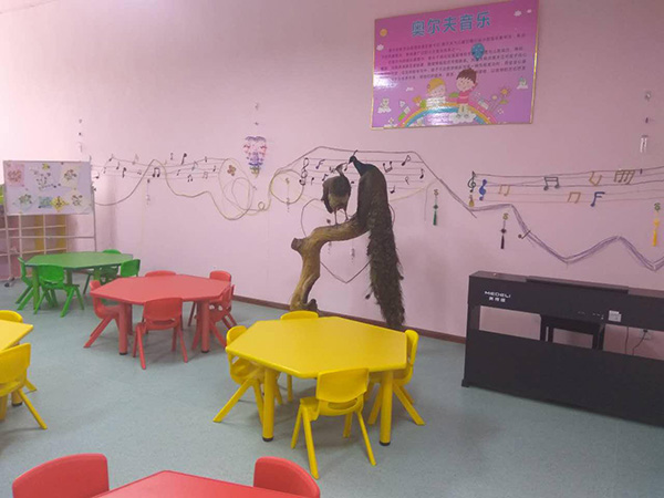 成都市中山职业技术学校学前教育（幼儿教育）介绍_招生信息