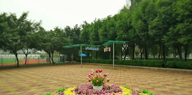 校园花坛
