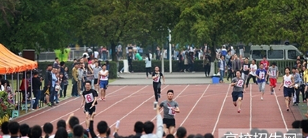 西华师范大学教育学专业招生_招生信息