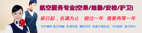 成都艺术职业学院2020航空服务(地勤、安检)专业招生_招生信息