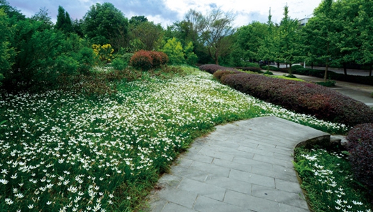 重庆师范大学