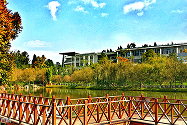 四川文化传媒职业学院（绵竹校区）