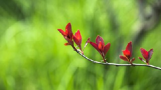 贵州省高铁乘务专业的优势有哪些?春招招生信息 贵州省高铁乘务专业的优势有哪些?春招招生信息