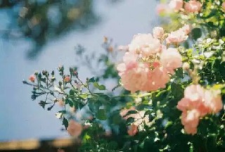 高铁乘务对女生有什么要求呢?春招招生信息 高铁乘务对女生有什么要求呢?春招招生信息