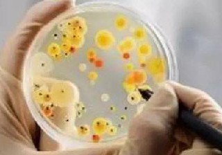 贵阳市高铁专业学校的就业环境如何?