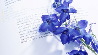 贵阳2020年哪些大专学校的铁路学校好 贵阳2020年哪些大专学校的铁路学校好