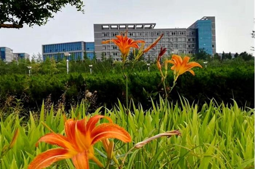 2020年清镇中等职业技术学校招生计划、招生要求、招生条件