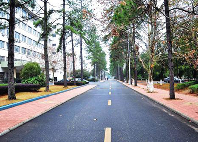 ç»µé³èªç©ºèä¸å­¦é¢