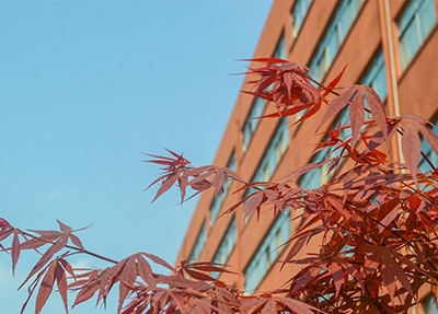 贵州工商职业学院专业设置