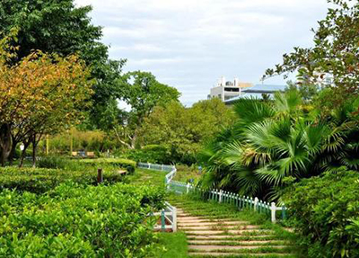 æ ¡å­é£æ¯