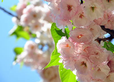 贵州建设职业技术学院食堂环境