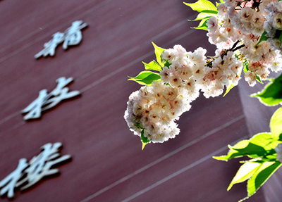 贵州职业技术学院有哪些专业