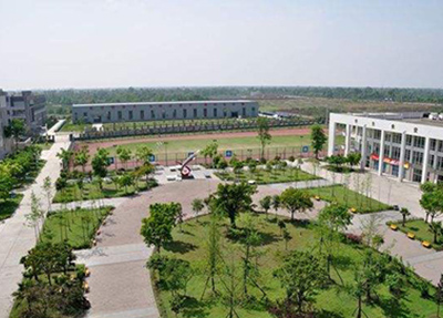 æé½çµåä¿¡æ¯å¦æ ¡