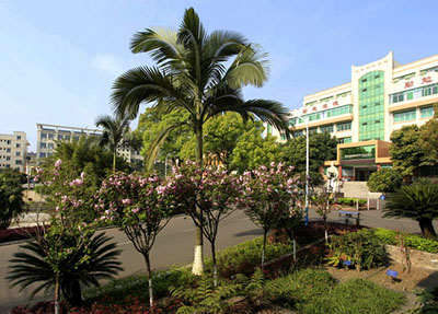 æé½æ°åèä¸å¦æ ¡