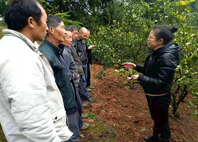 老师授课 老师授课