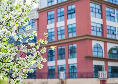 校园风景.jpg 校园风景.jpg