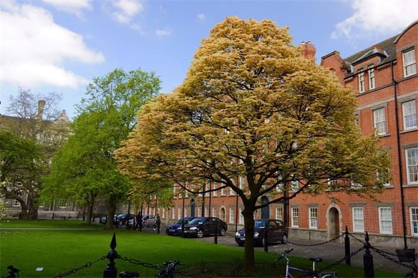 六盘水市体育运动职业技术学校简介 六盘水市体育运动职业技术学校简介