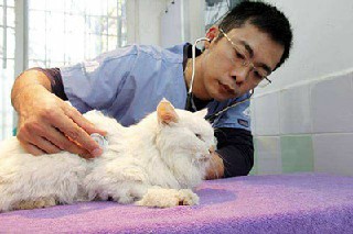 成都市报考高铁乘务专业对年龄要求如何春招招生信息