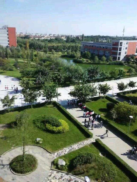 2020年四川托普计算机职业学校招生专业计划有哪些？