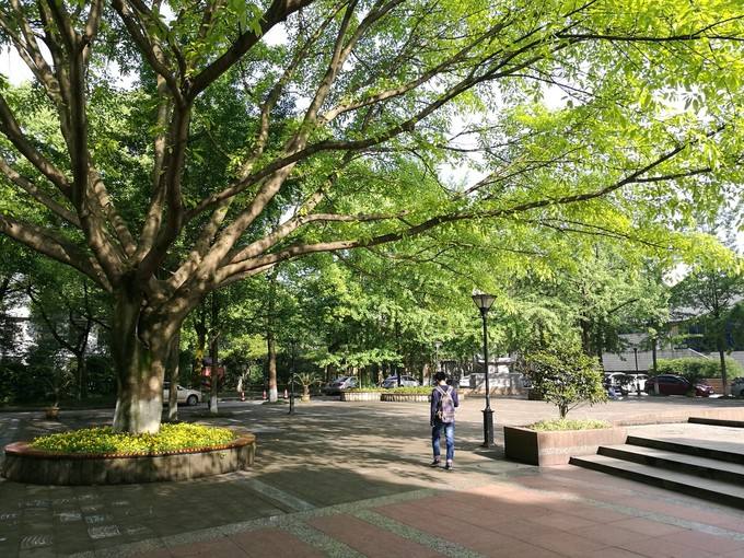 彭州市技工学校2020年招生专业计划有哪些? 彭州市技工学校2020年招生专业计划有哪些?