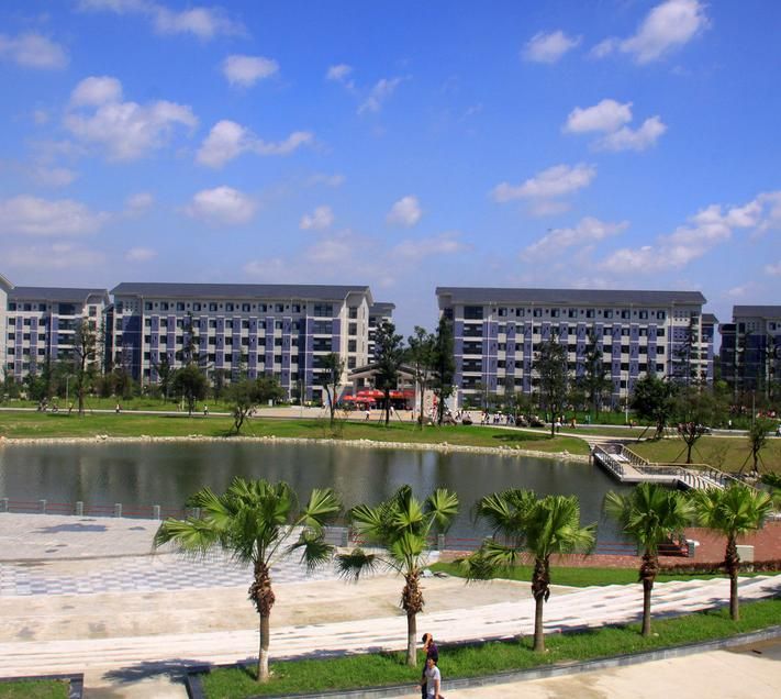 2020年四川幼儿师范高等专科学校开设招生专业计划 2020年四川幼儿师范高等专科学校开设招生专业计划