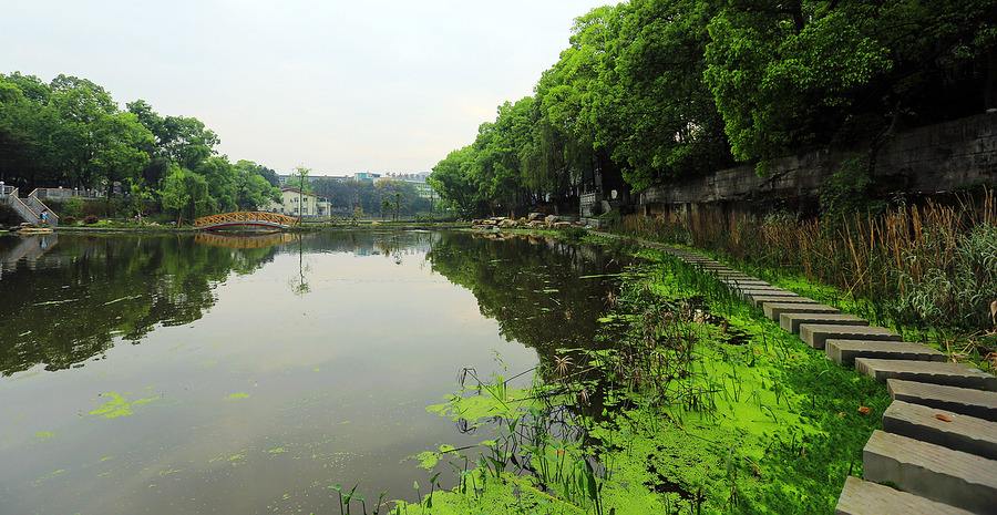 四川省通江县职业高级中学2020年助学政策 四川省通江县职业高级中学2020年助学政策