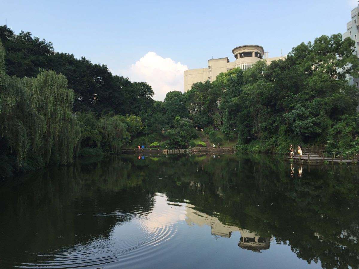 广元市旺苍县技工学校2020年报名地址 广元市旺苍县技工学校2020年报名地址