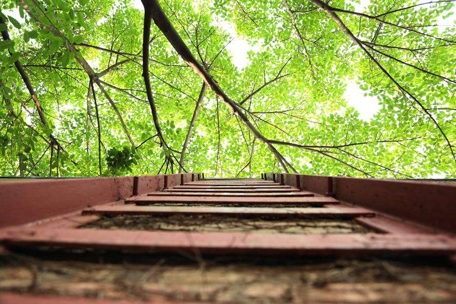 2020年遂宁应用技术职业学校学费收费标准