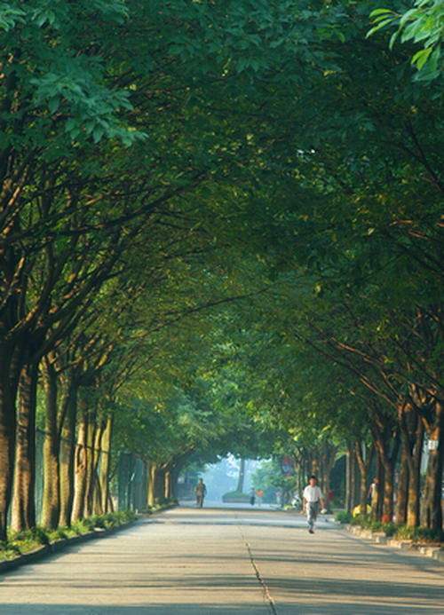 2020年四川省东坡中等职业技术学校招生专业